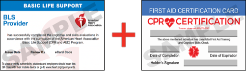 Sample American Heart Association AHA BLS CPR Card Certificaiton and First Aid Certification Card from CPR Certification Toledo