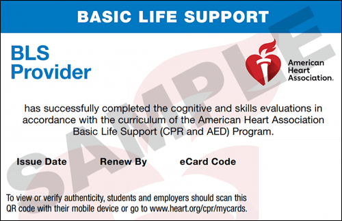 Sample American Heart Association AHA BLS CPR Card Certification from CPR Certification Toledo