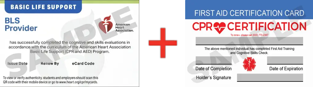 Sample American Heart Association AHA BLS CPR Card Certification and First Aid Certification Card from CPR Certification Toledo